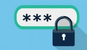 El sistema “passwordless”, como lo indica su nombre, consiste en no utilizar contraseñas, reemplazando la clave de acceso generada manualmente por el usuario por una llave criptográfica automática.